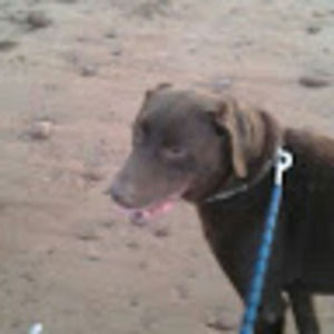 Meet your Posher, Corey